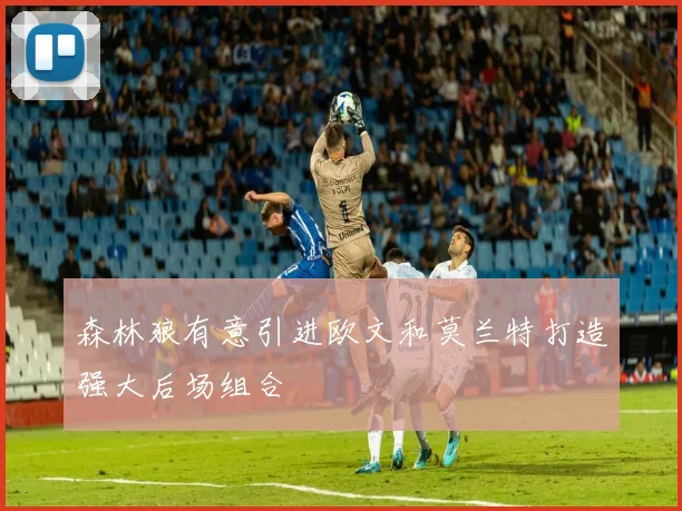 森林狼有意引进欧文和莫兰特打造强大后场组合